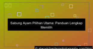 desain sabung ayam pilihan utama