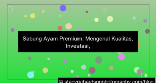ilustrasi sabung ayam premium