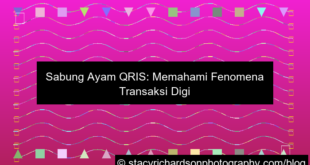 visual sabung ayam qris