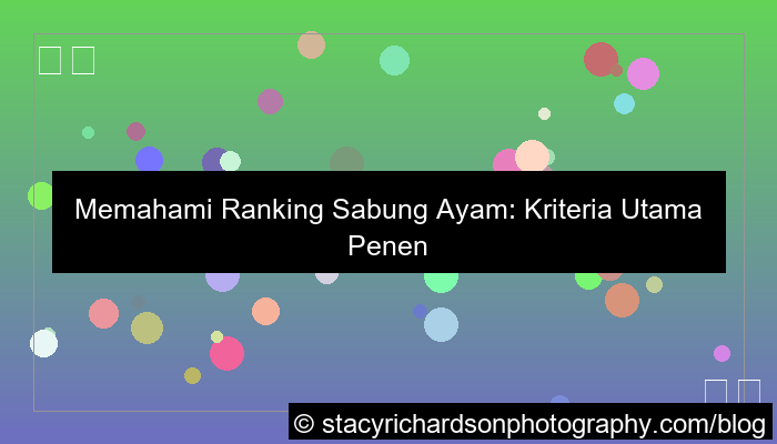 sabung ayam ranking