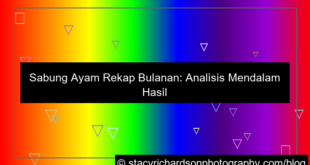 sabung ayam rekap bulanan