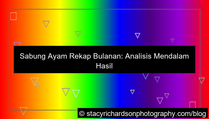 sabung ayam rekap bulanan