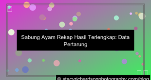 gambar sabung ayam rekap hasil