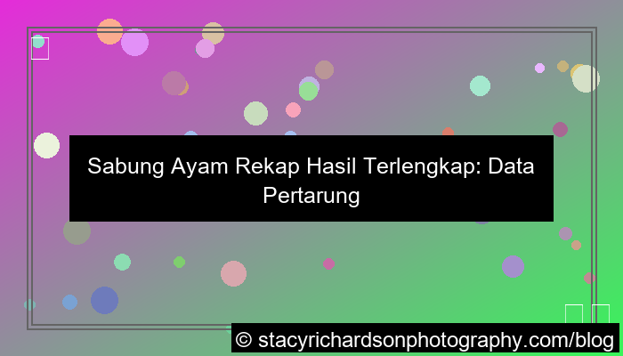 gambar sabung ayam rekap hasil