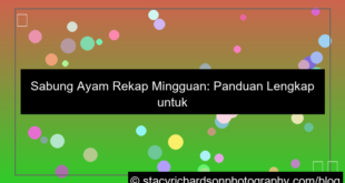 sabung ayam rekap mingguan