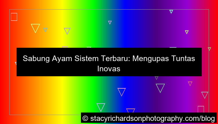 sabung ayam sistem terbaru