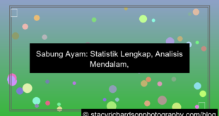 sabung ayam statistik lengkap