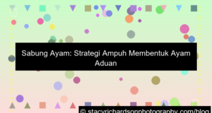 sabung ayam strategi ampuh