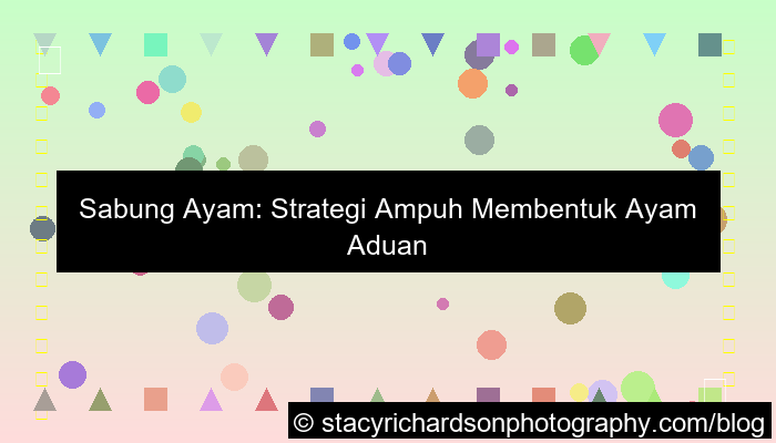 sabung ayam strategi ampuh