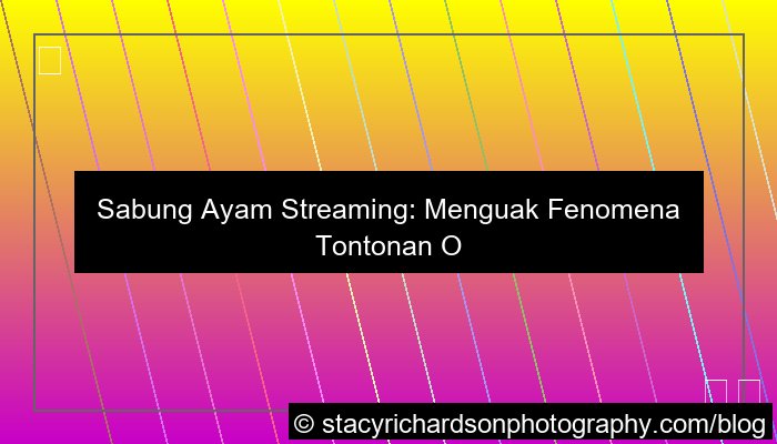desain sabung ayam streaming