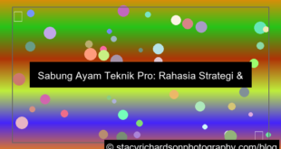 gambar sabung ayam teknik pro