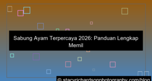 ilustrasi sabung ayam terpercaya 2026