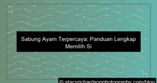 sabung ayam terpercaya