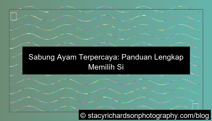 sabung ayam terpercaya