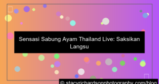 sabung ayam thailand live