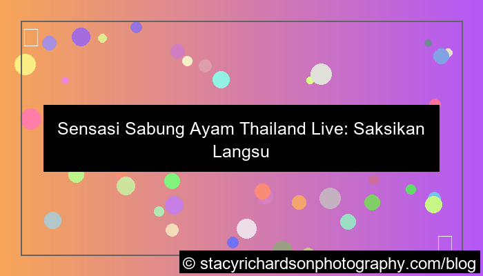 sabung ayam thailand live