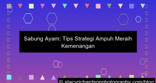 sabung ayam tips menang
