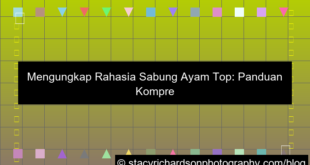 desain sabung ayam top