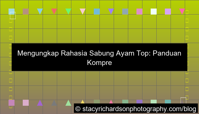 desain sabung ayam top