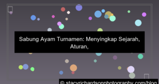 sabung ayam turnamen