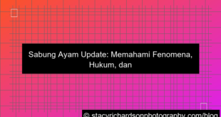 sabung ayam update