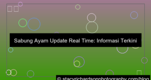 grafik sabung ayam update real time