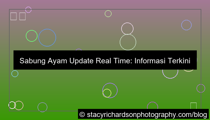grafik sabung ayam update real time