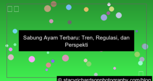 ilustrasi sabung ayam update terbaru