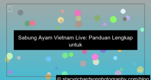gambar sabung ayam vietnam live