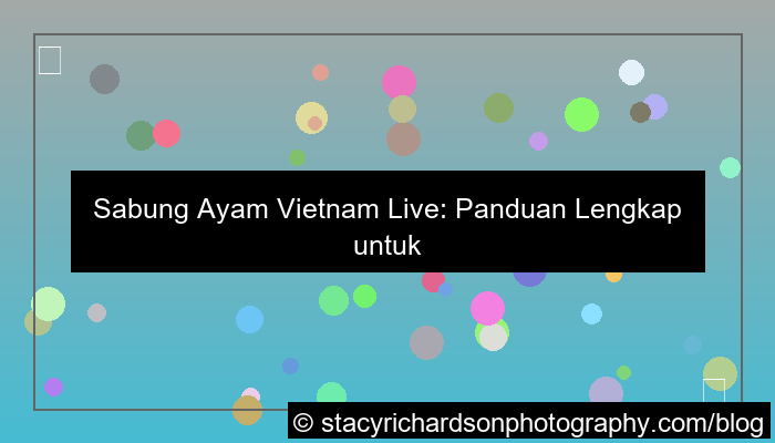 gambar sabung ayam vietnam live