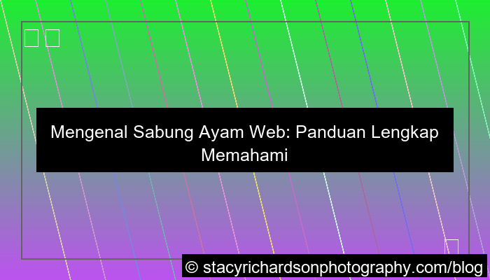 sabung ayam web