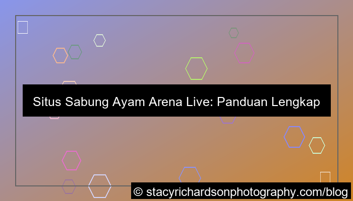 situs sabung ayam arena live