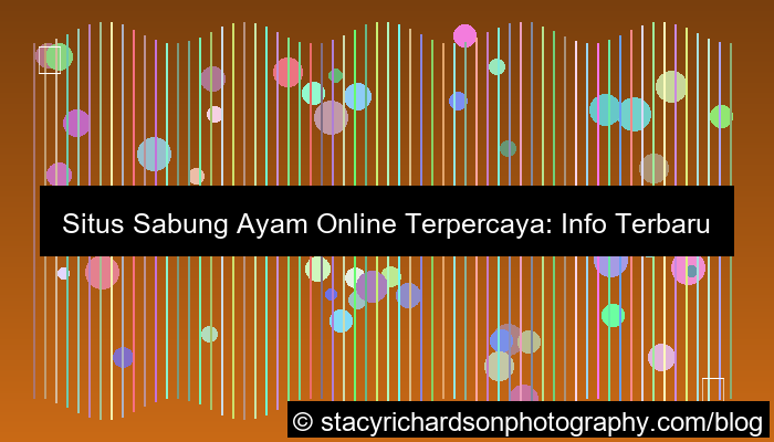 situs sabung ayam info hari ini