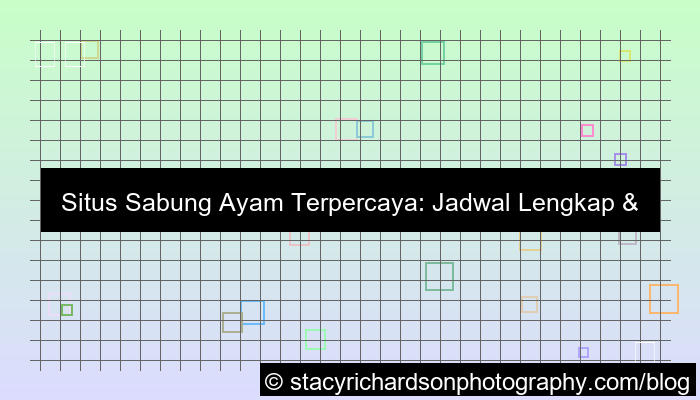 desain situs sabung ayam jadwal lengkap