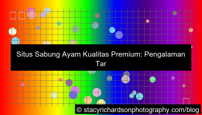 situs sabung ayam kualitas premium