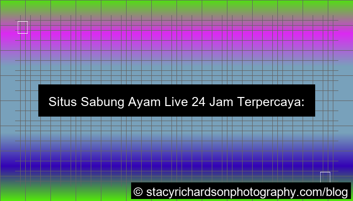 situs sabung ayam live 24 jam