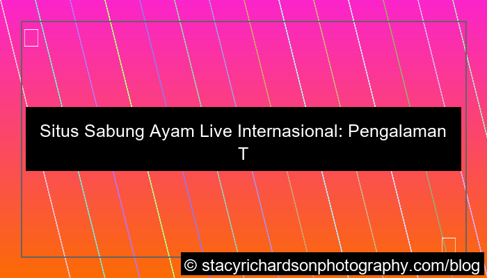 situs sabung ayam live internasional