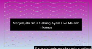 situs sabung ayam live malam
