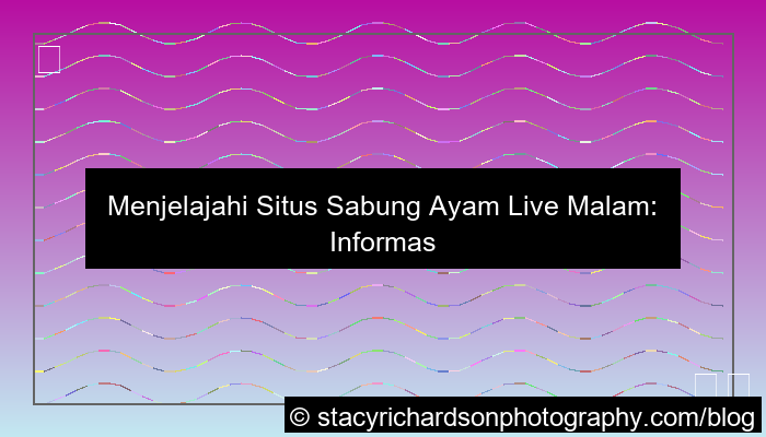 situs sabung ayam live malam