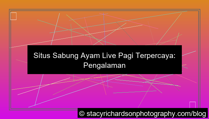 visual situs sabung ayam live pagi