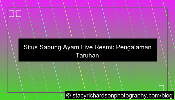 situs sabung ayam live resmi