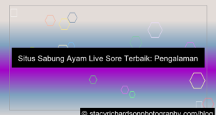 situs sabung ayam live sore