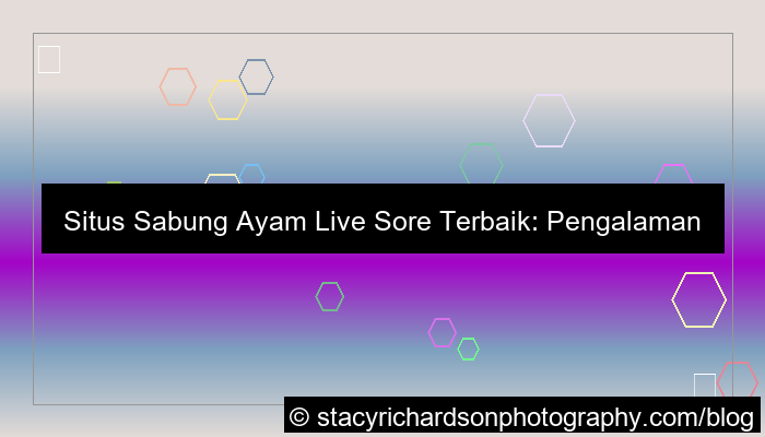 situs sabung ayam live sore