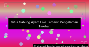 situs sabung ayam live terbaru