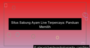 situs sabung ayam live terpercaya