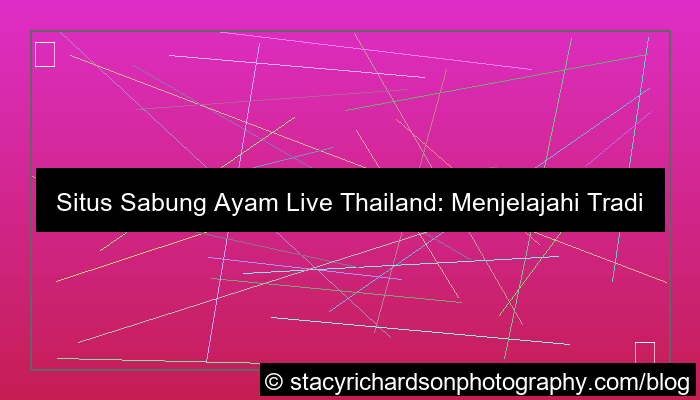 ilustrasi situs sabung ayam live thailand