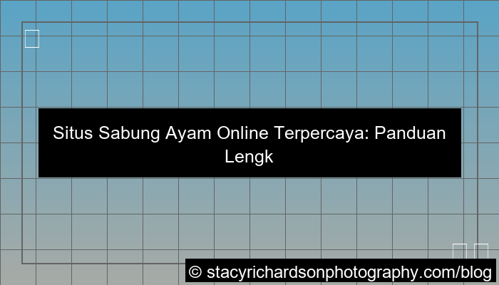 desain situs sabung ayam online