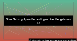 desain situs sabung ayam pertandingan live