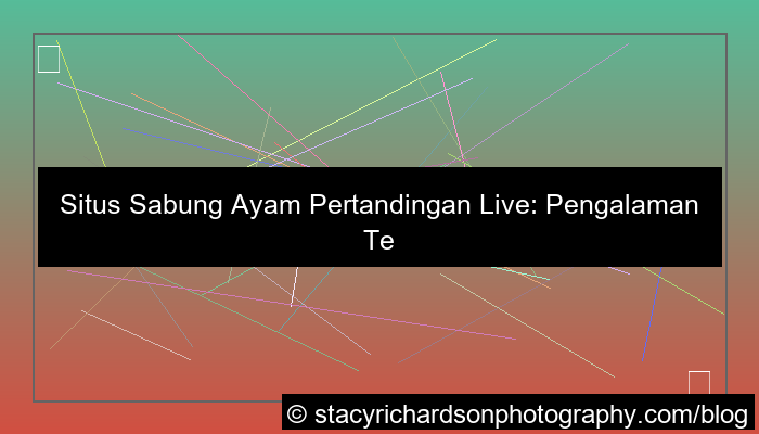 desain situs sabung ayam pertandingan live