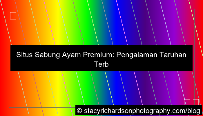 visual situs sabung ayam premium